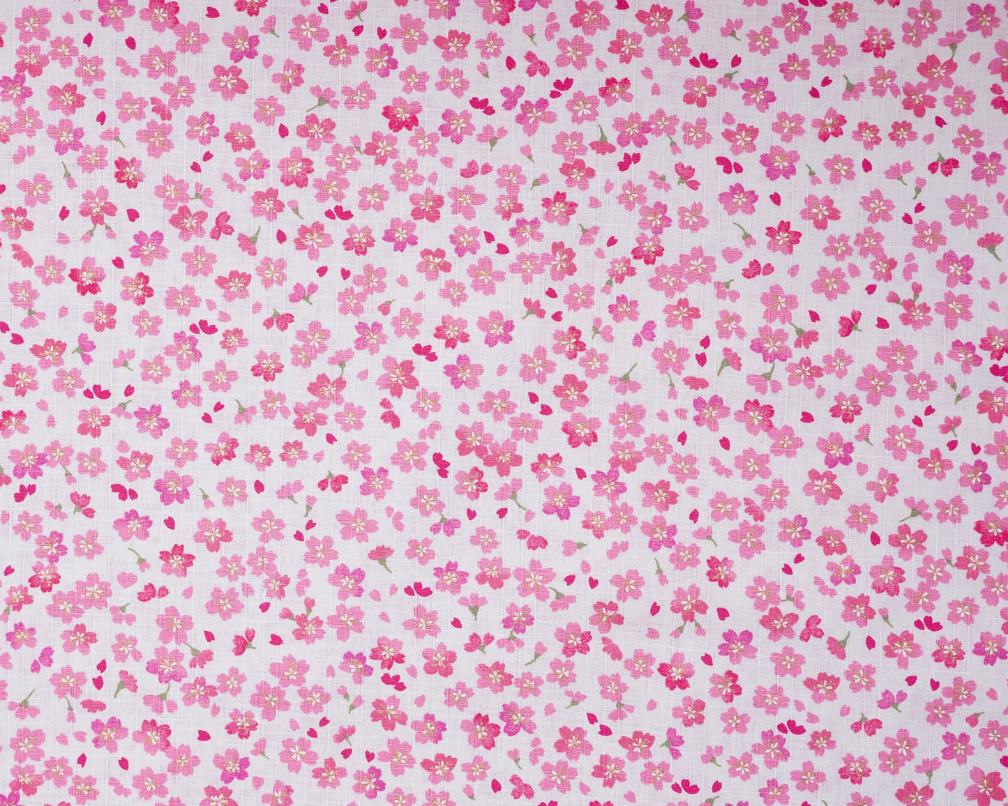Sakura Scatter Pink on white - Cotton Dobby Fabric - Hokkoh